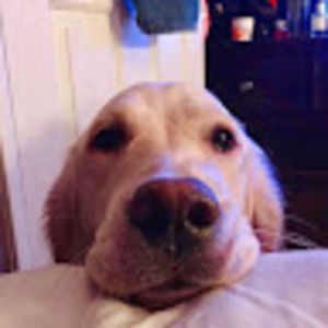 Meet your Posher, Maxwell